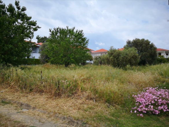 Land In Kassandra, Greece