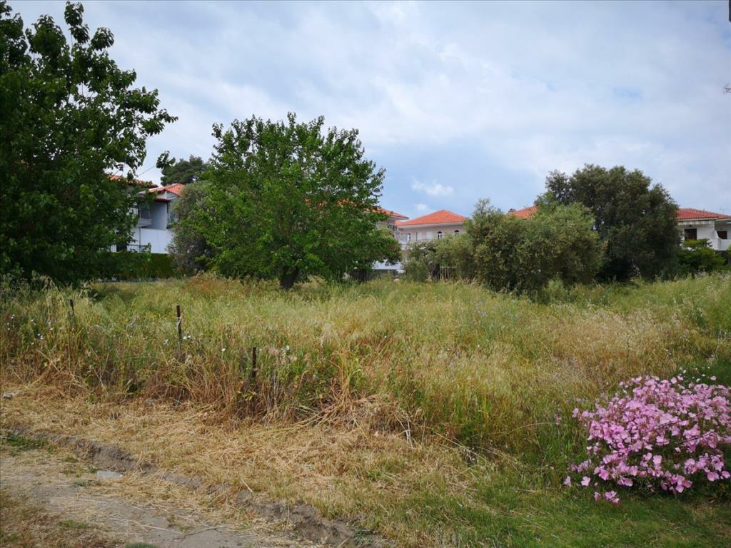 Land In Kassandra, Greece