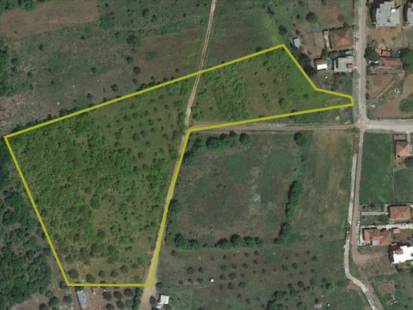 Land In Dorio, Greece