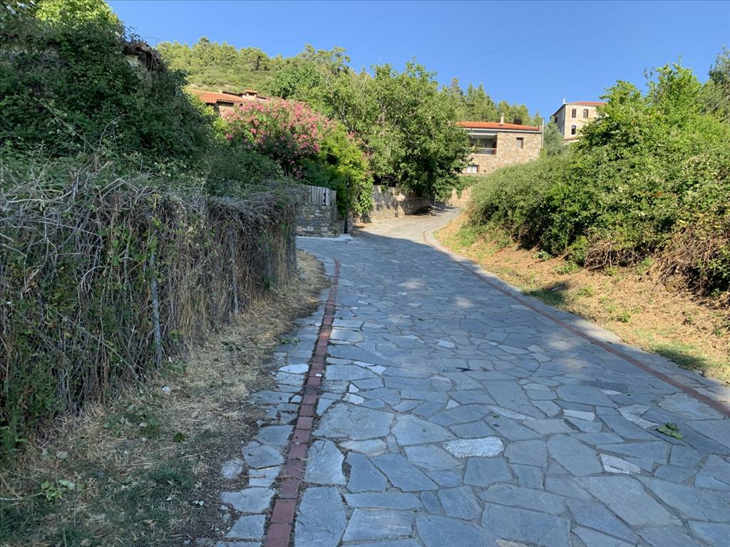 Land In Sithonia, Greece