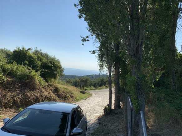 Land In Sithonia, Greece