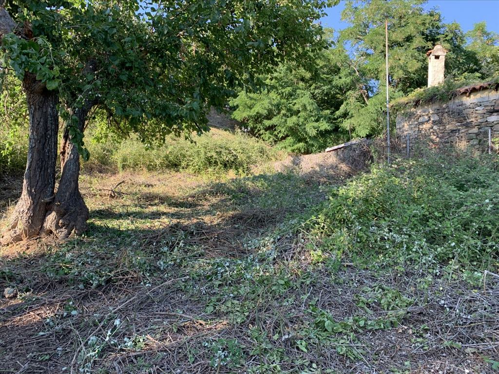 Land In Sithonia, Greece