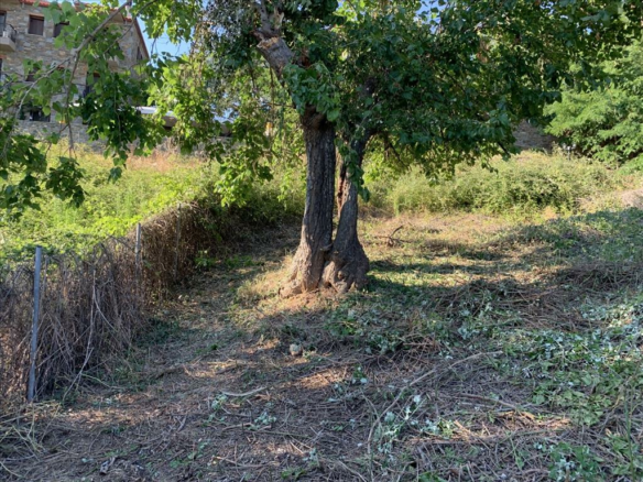 Land In Sithonia, Greece