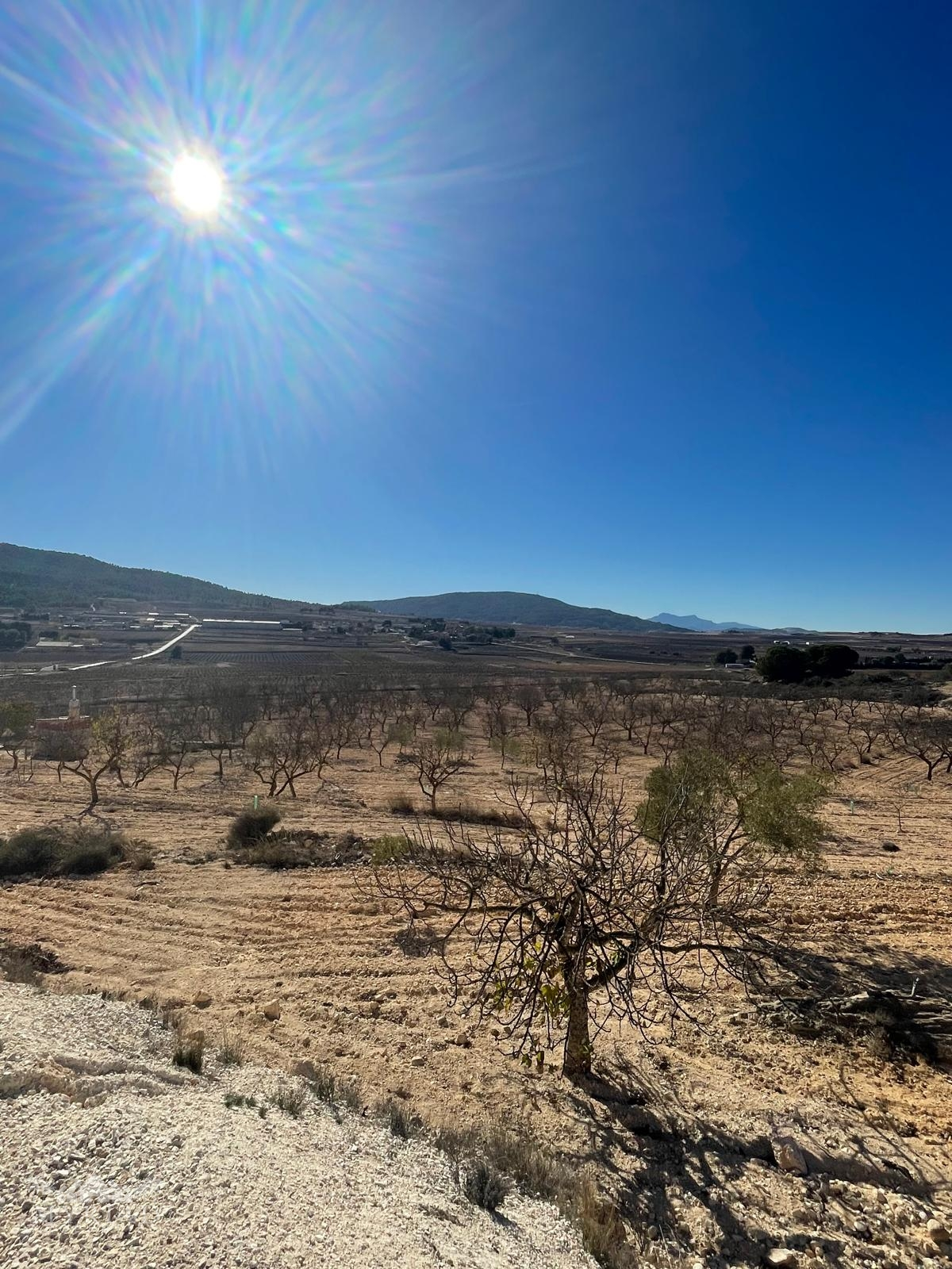 Land In Culebr&oacute;n, Spain (5.340 M² Plot)