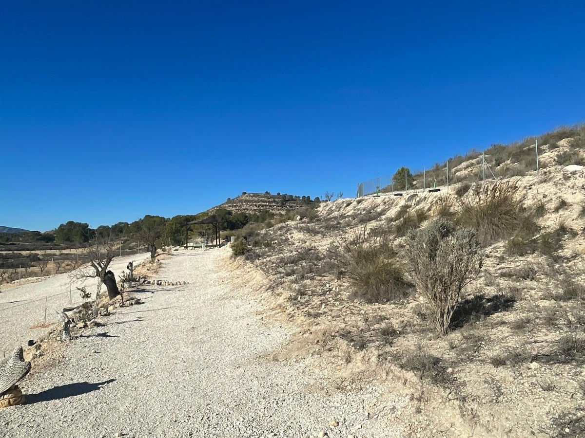 Land In Culebr&oacute;n, Spain (5.340 M² Plot)