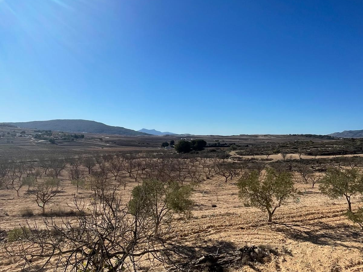 Land In Culebr&oacute;n, Spain (5.340 M² Plot)