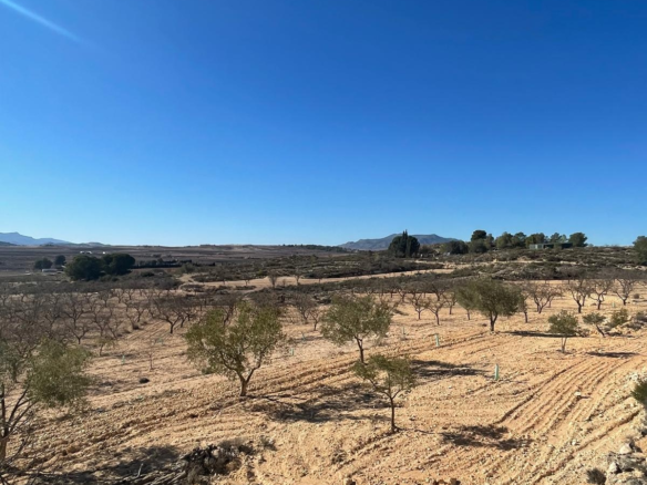Land In Culebr&oacute;n, Spain (5.340 M² Plot)