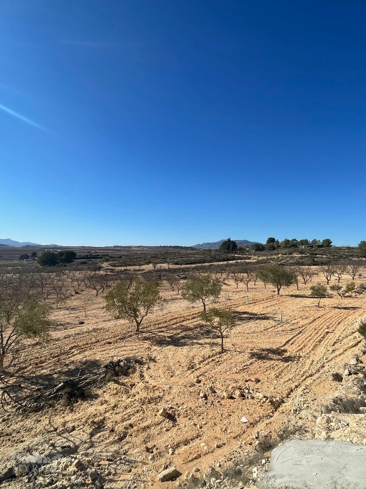Land In Culebr&oacute;n, Spain (5.340 M² Plot)