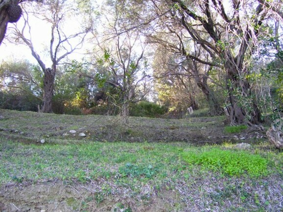 Land In Corfu, Greece