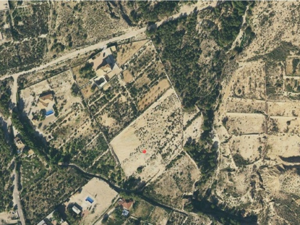 Land In Crevillente, Spain (16.000 M² Plot)