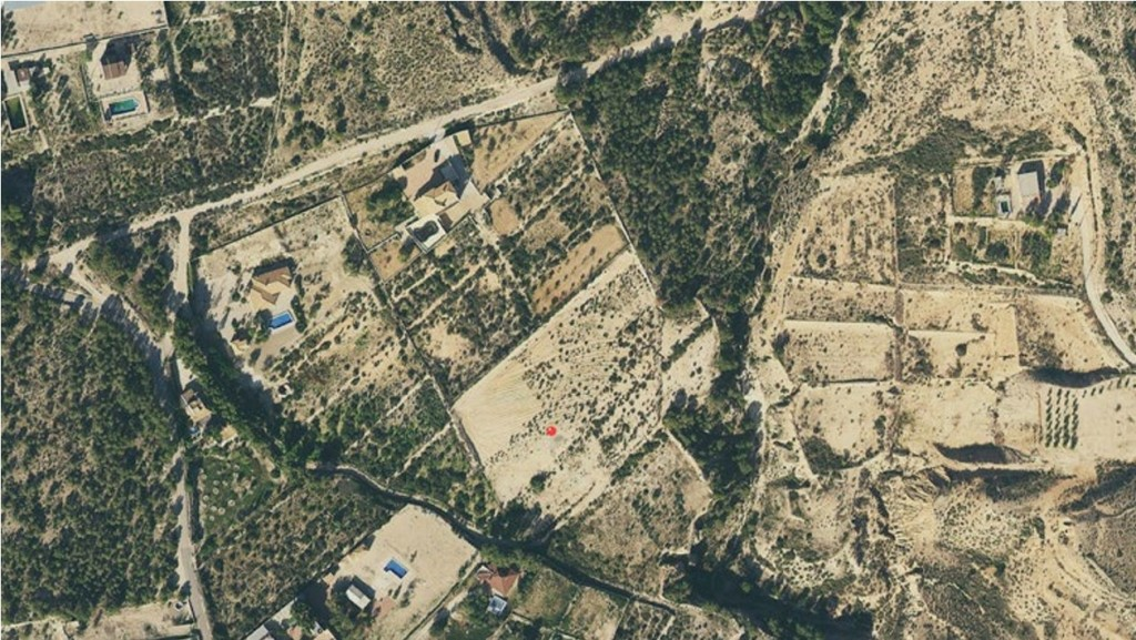 Land In Crevillente, Spain (16.000 M² Plot)