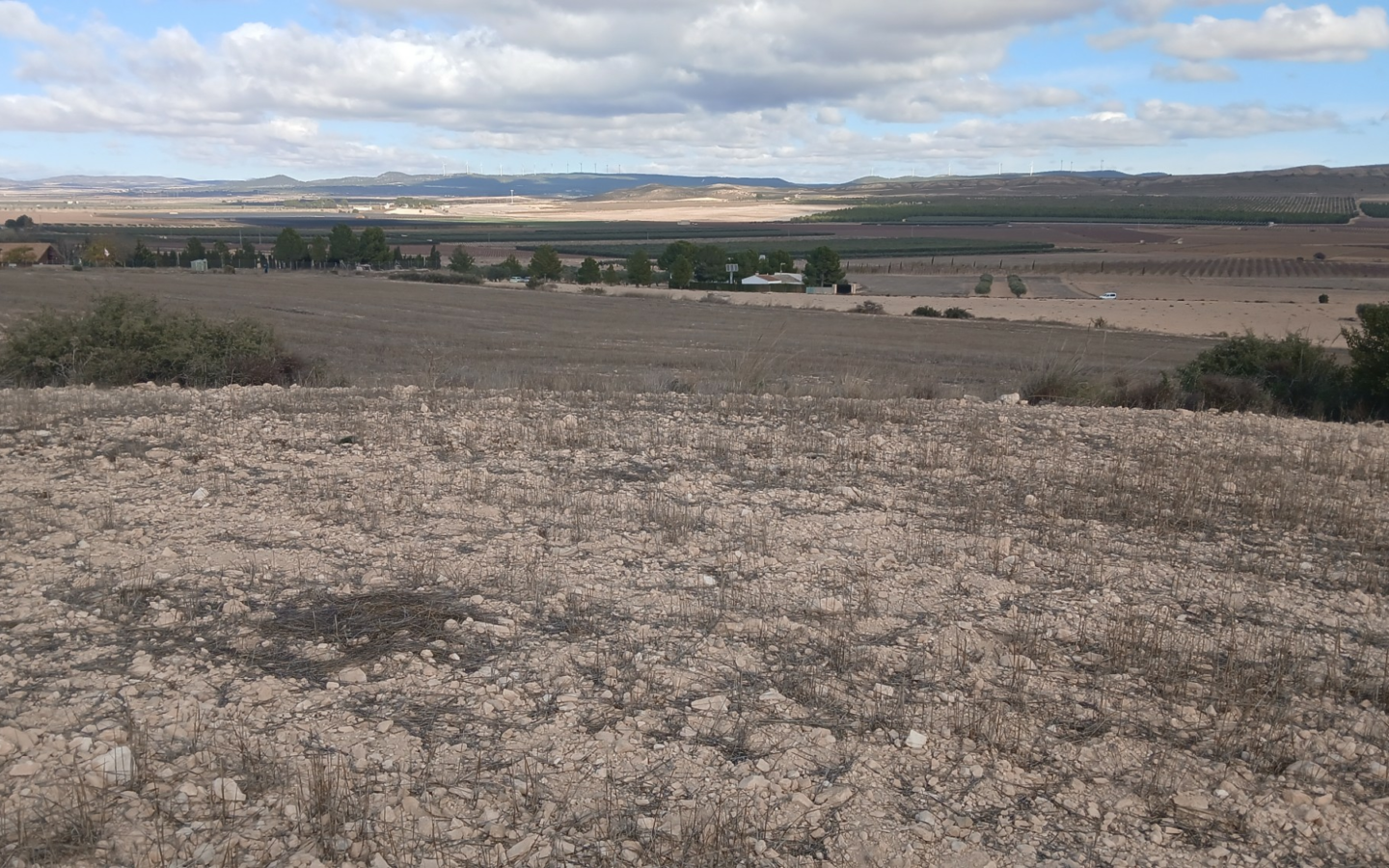 Land In Yecla, Spain (110.312 M² Plot)