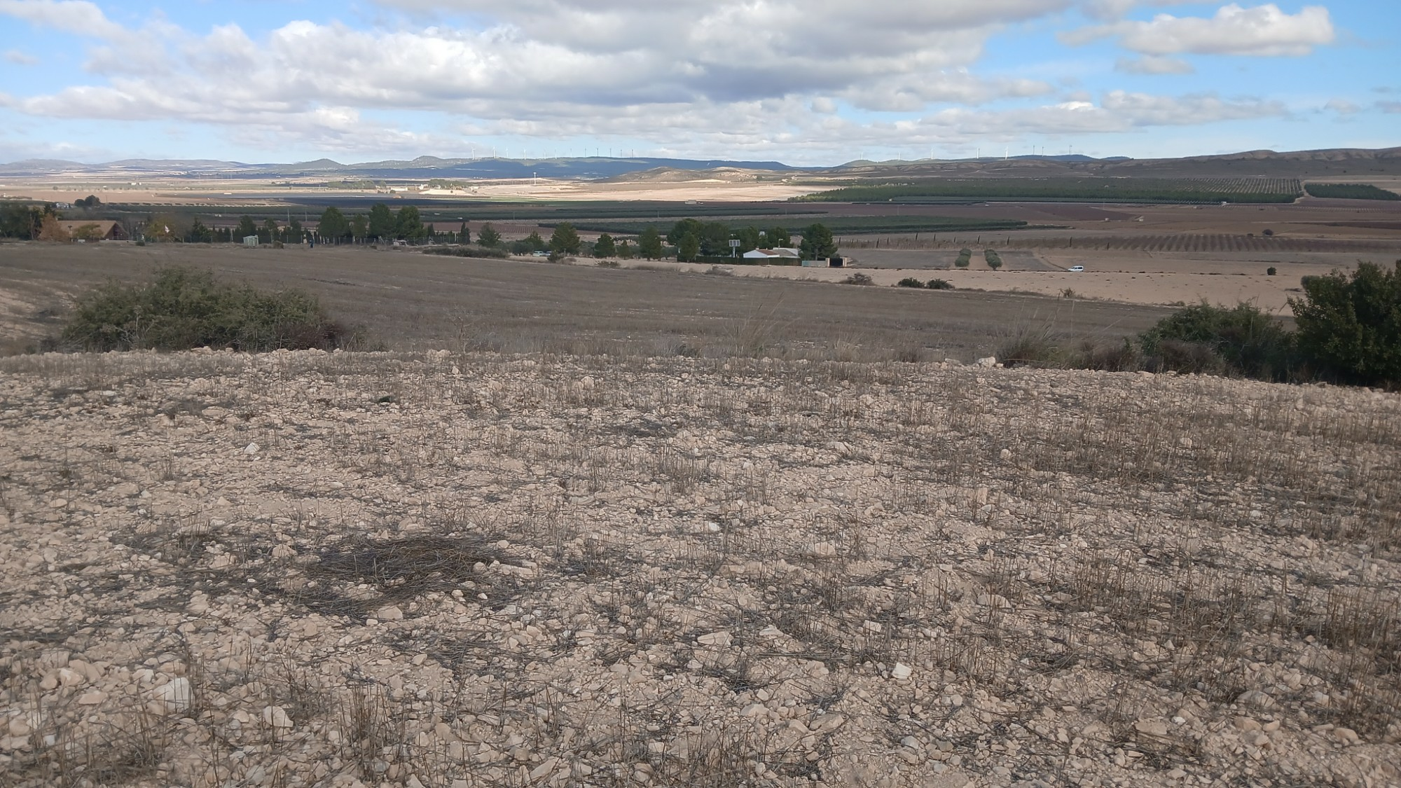 o_1jbka5aaj10k9bs113pm101419002c-65027b Land In Yecla, Spain (110.312 M² Plot)