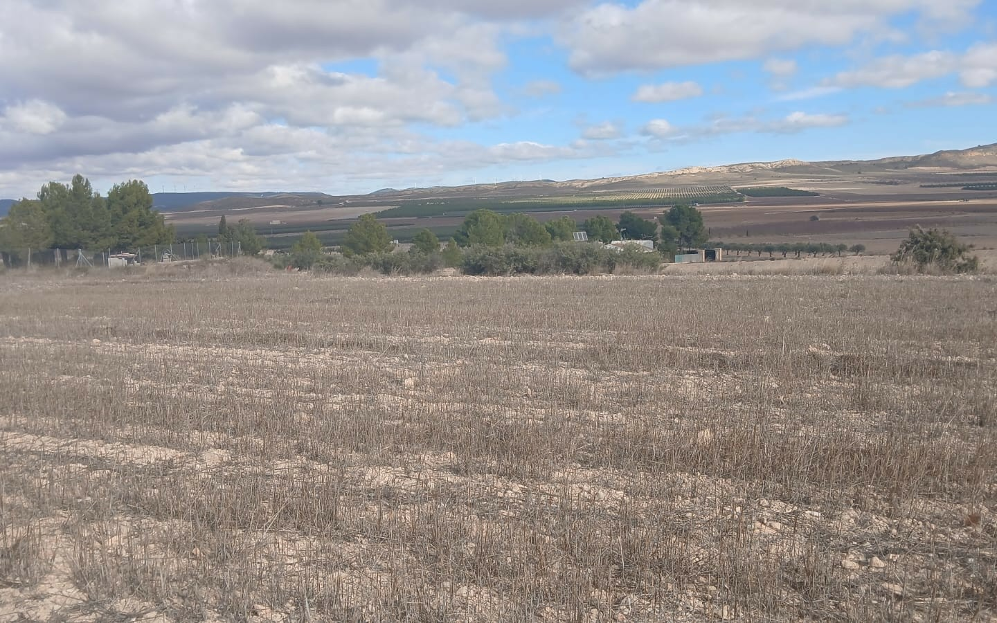 Land In Yecla, Spain (110.312 M² Plot)