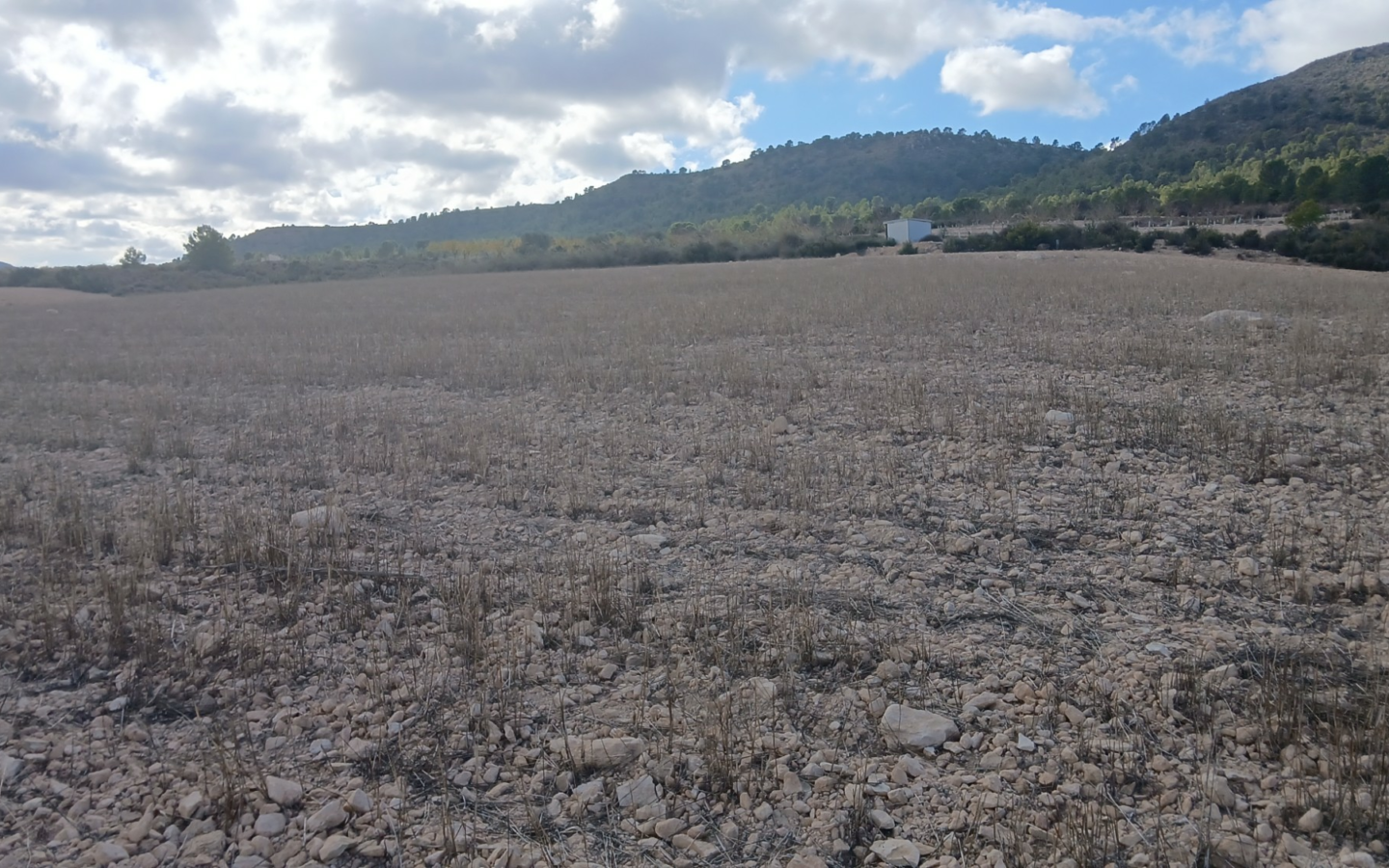 Land In Yecla, Spain (110.312 M² Plot)