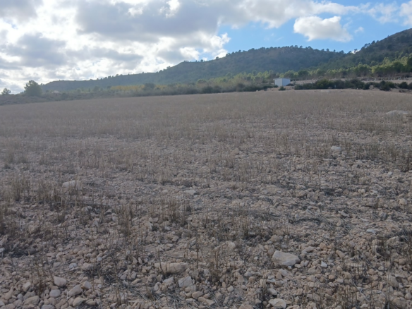 Land In Yecla, Spain (110.312 M² Plot)