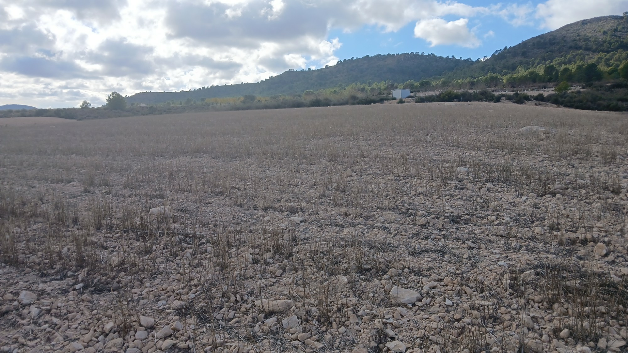 o_1jbka5aaj1c7rkcgdgf19no10ri2d-5d96fe Land In Yecla, Spain (110.312 M² Plot)