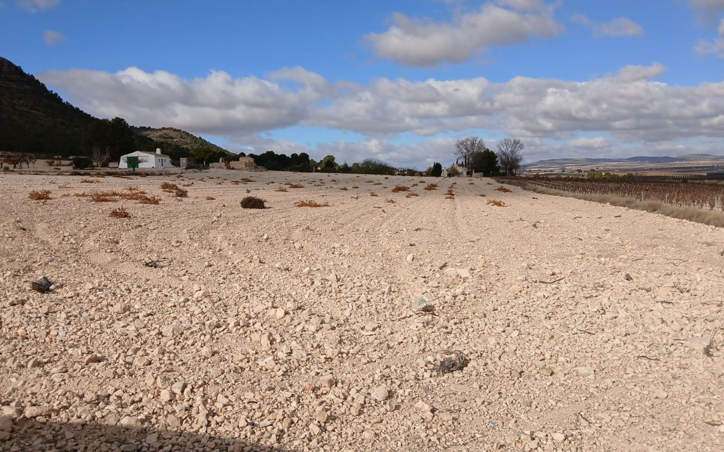 Land In Yecla, Spain (110.312 M² Plot)