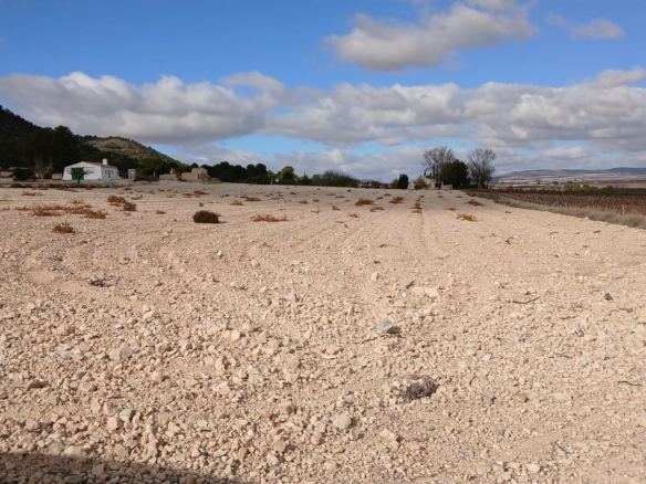 Land In Yecla, Spain (110.312 M² Plot)