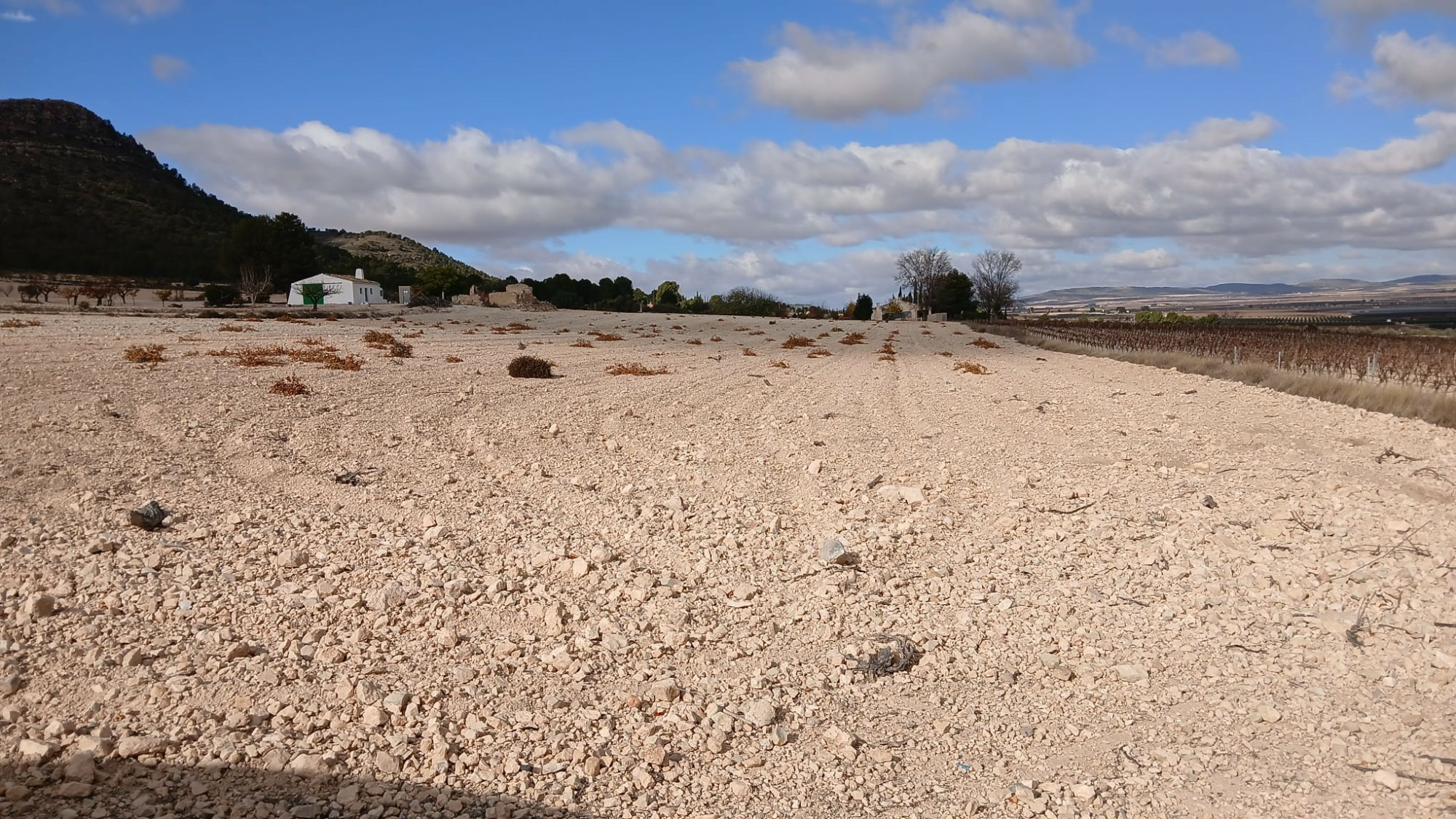 o_1jbka5aaj1dl113uk1k24a937tl2g-b8fadf Land In Yecla, Spain (110.312 M² Plot)