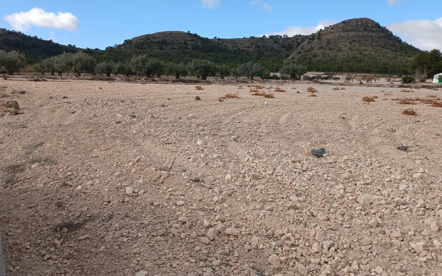 Land In Yecla, Spain (110.312 M² Plot)