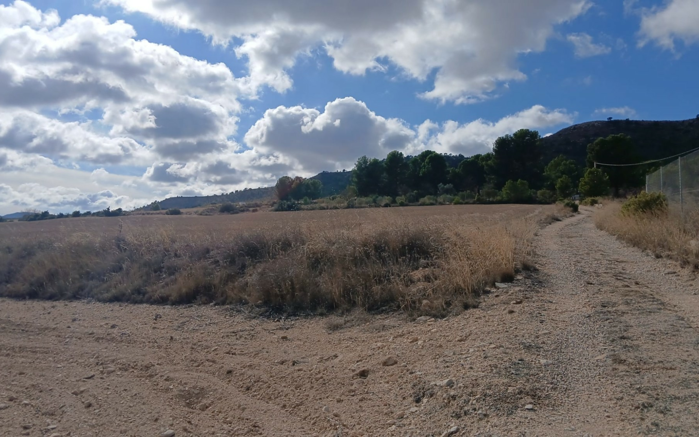 Land In Yecla, Spain (110.312 M² Plot)