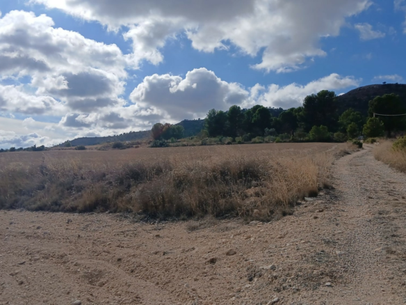 Land In Yecla, Spain (110.312 M² Plot)
