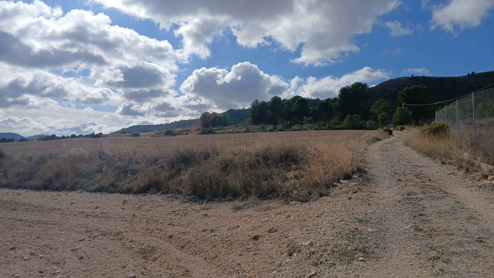 o_1jbka5aaj1ffu10g626ip341ahp2j-e29bcb Land In Yecla, Spain (110.312 M² Plot)