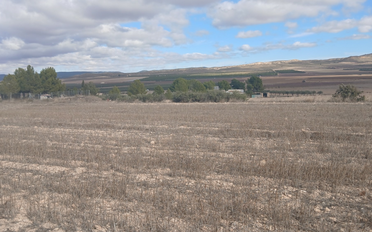 Land In Yecla, Spain (110.312 M² Plot)