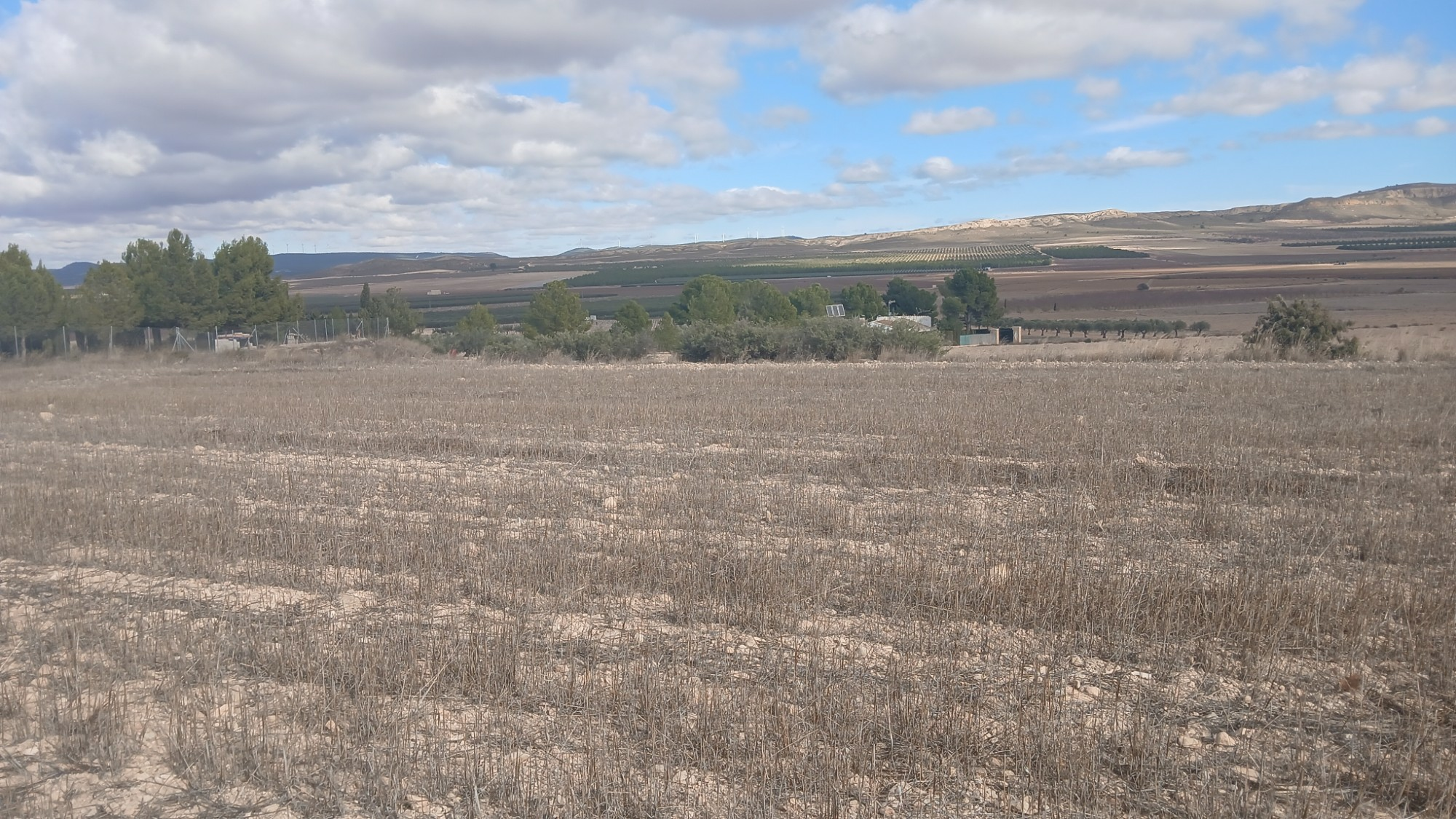 o_1jbka5aaj1fi315ic1ps35t123l29-a209ce Land In Yecla, Spain (110.312 M² Plot)