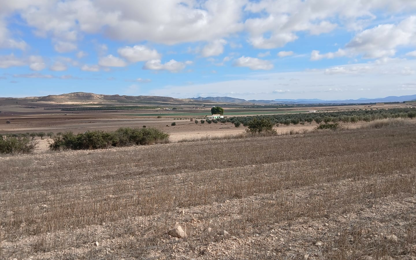 Land In Yecla, Spain (110.312 M² Plot)