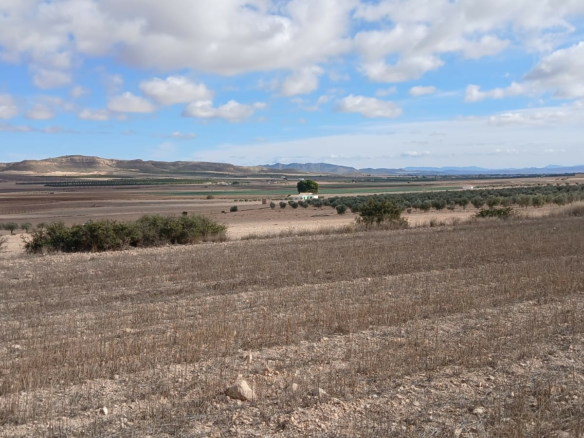 Land In Yecla, Spain (110.312 M² Plot)