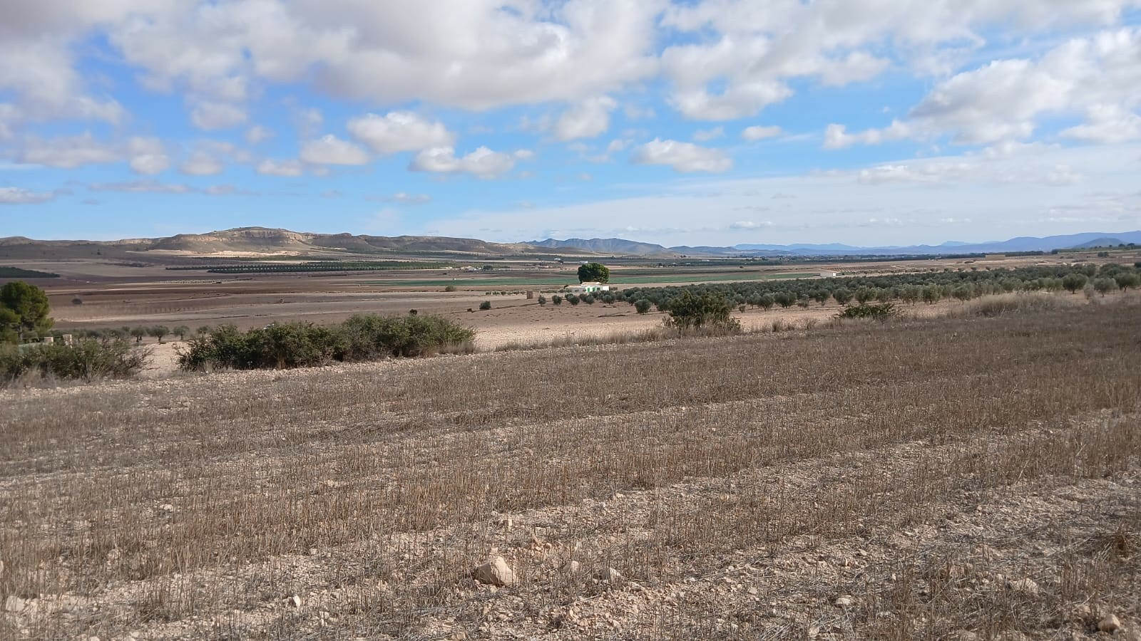 o_1jbka5aaj1rt11tni17b5tgm1omg2l-91c4e9 Land In Yecla, Spain (110.312 M² Plot)
