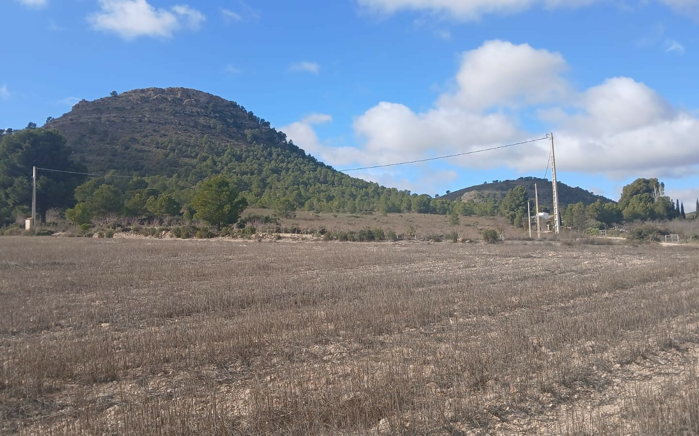 Land In Yecla, Spain (110.312 M² Plot)