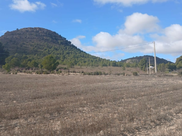 Land In Yecla, Spain (110.312 M² Plot)