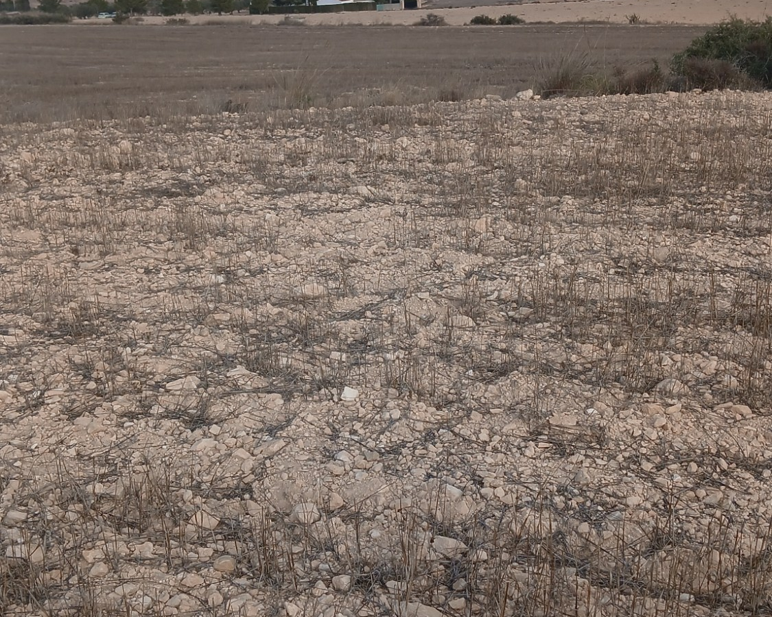 Land In Yecla, Spain (110.312 M² Plot)