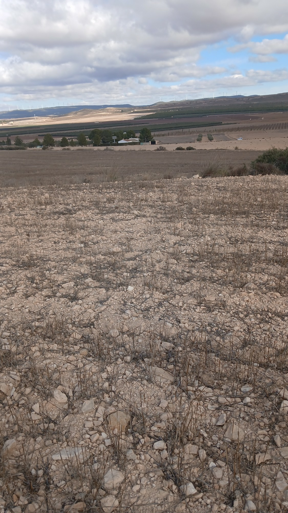 o_1jbka5aajbcf4mu1nin14ma1udf2b-c958b7 Land In Yecla, Spain (110.312 M² Plot)