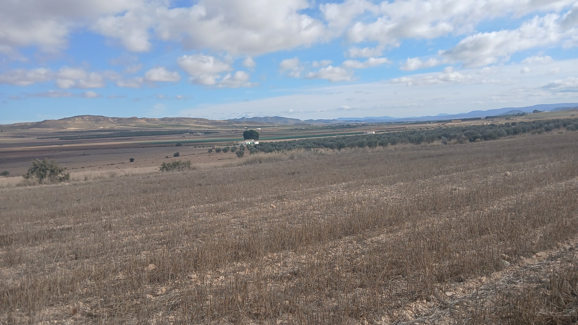 o_1jbka5aajrip3uu1fokba7vov2a-2d4aae Land In Yecla, Spain (110.312 M² Plot)