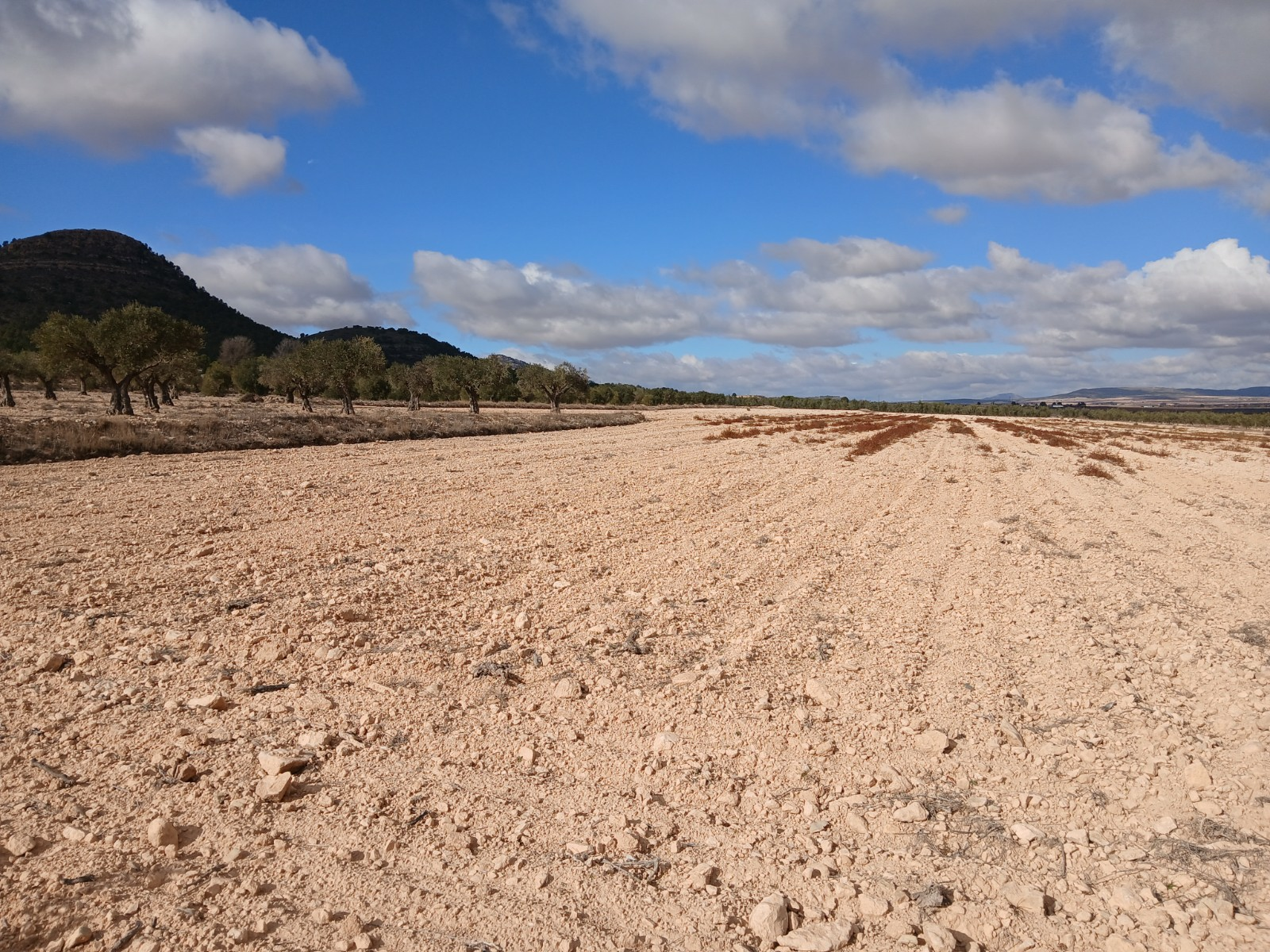 o_1jbka5aajveql5115353f1kdg26-308fe0 Land In Yecla, Spain (110.312 M² Plot)