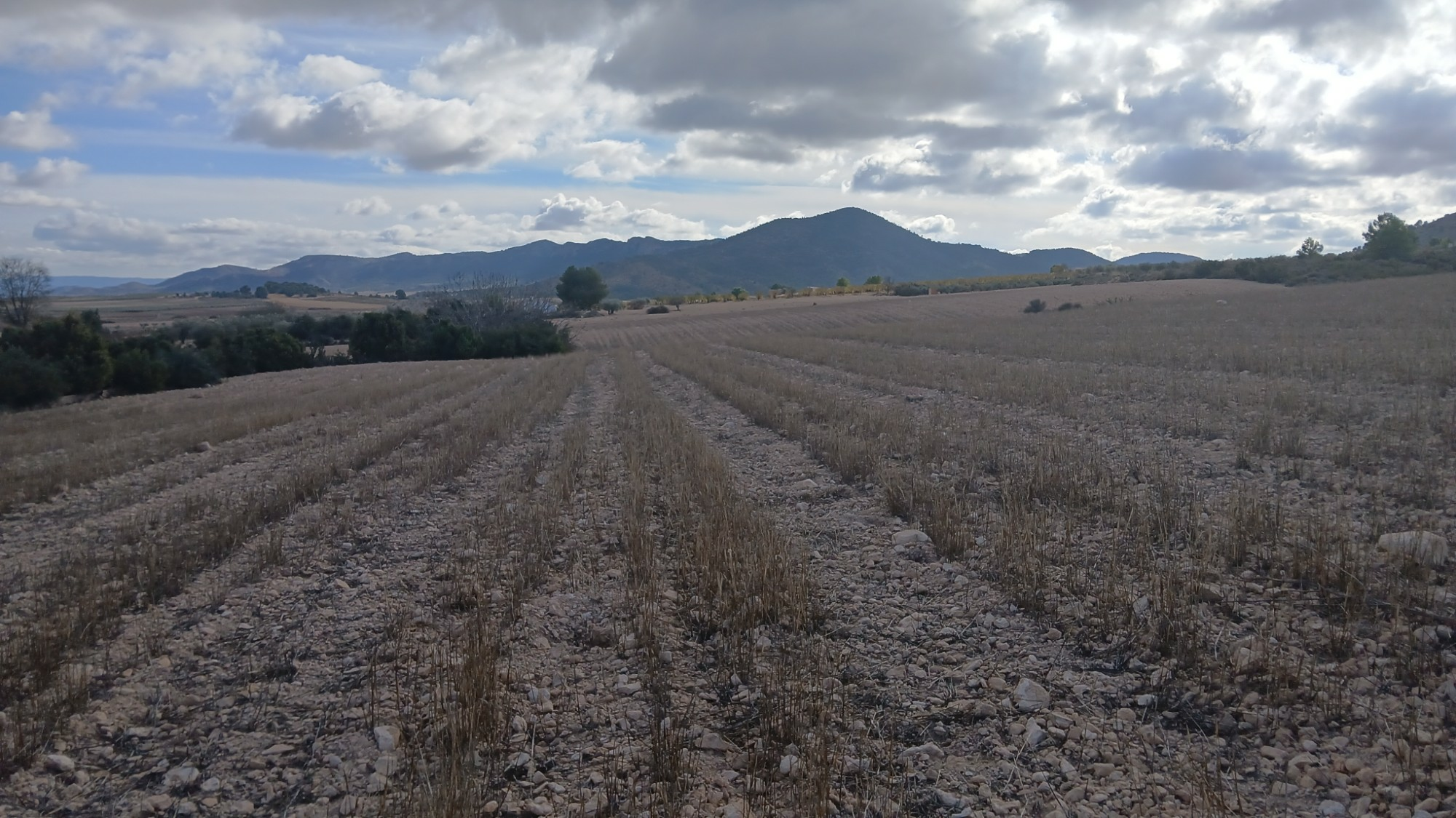 o_1jbka5aajvi918ed1i58bugqgs2e-bf3fb9 Land In Yecla, Spain (110.312 M² Plot)