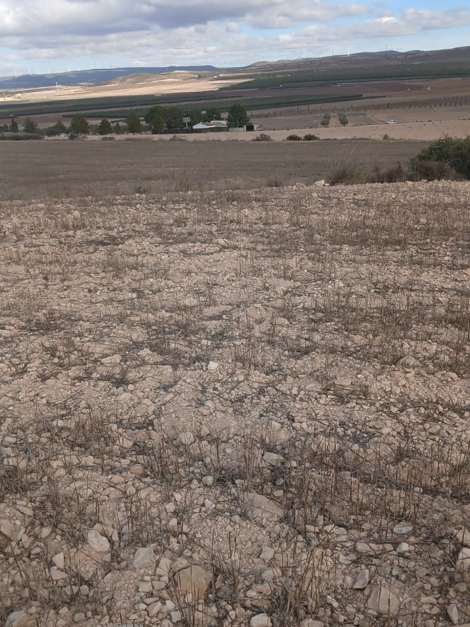 Land In Yecla, Spain (110.312 M² Plot)