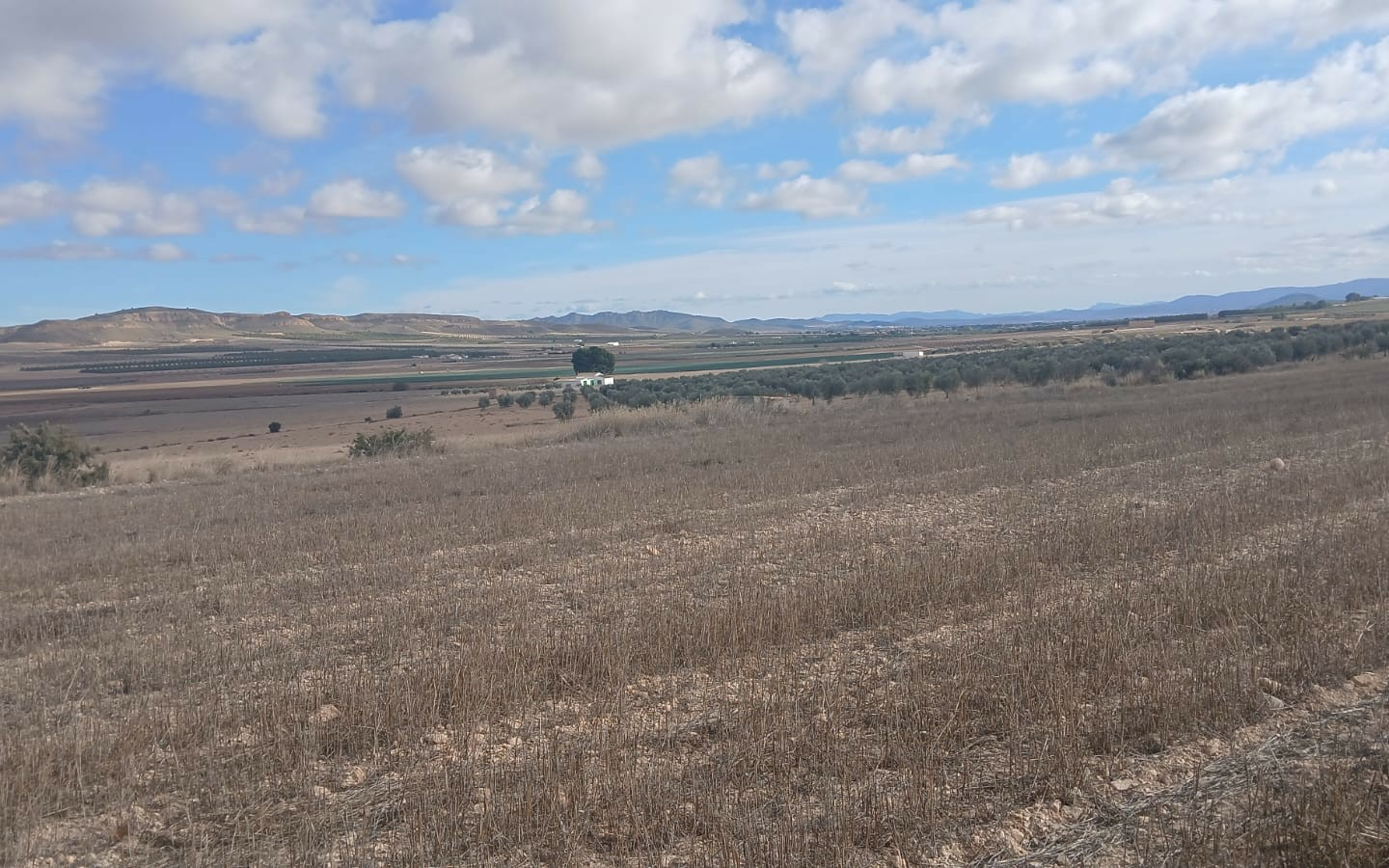 Land In Yecla, Spain (110.312 M² Plot)
