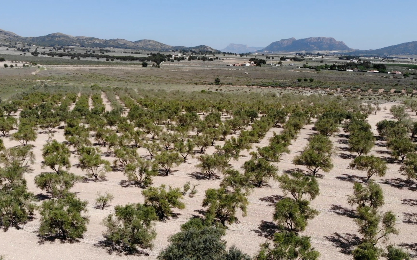Land In Salinas, Spain (24.596 M² Plot)
