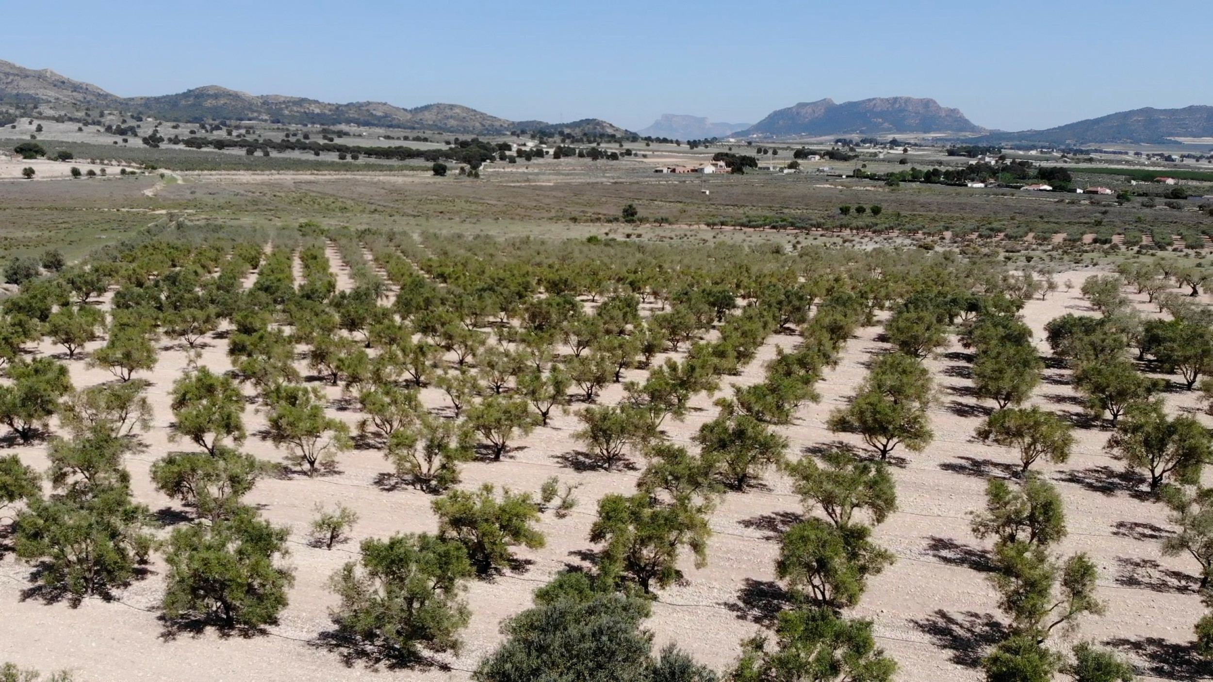 property_attachment_10bvqnhgzx_20260313080556-8a3972 Land In Salinas, Spain (24.596 M² Plot)