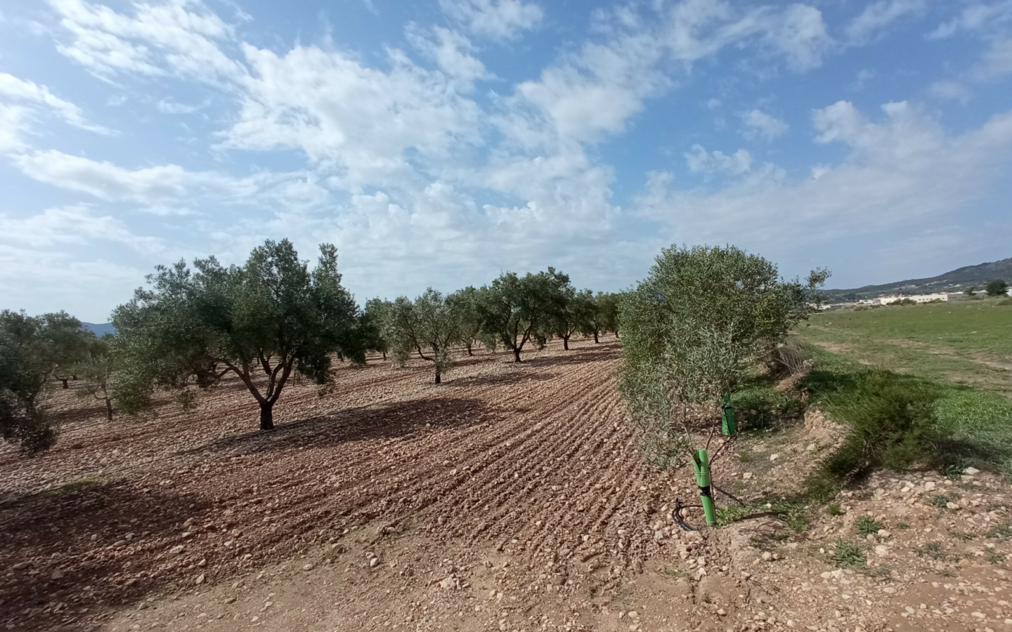 Land In Salinas, Spain (24.596 M² Plot)