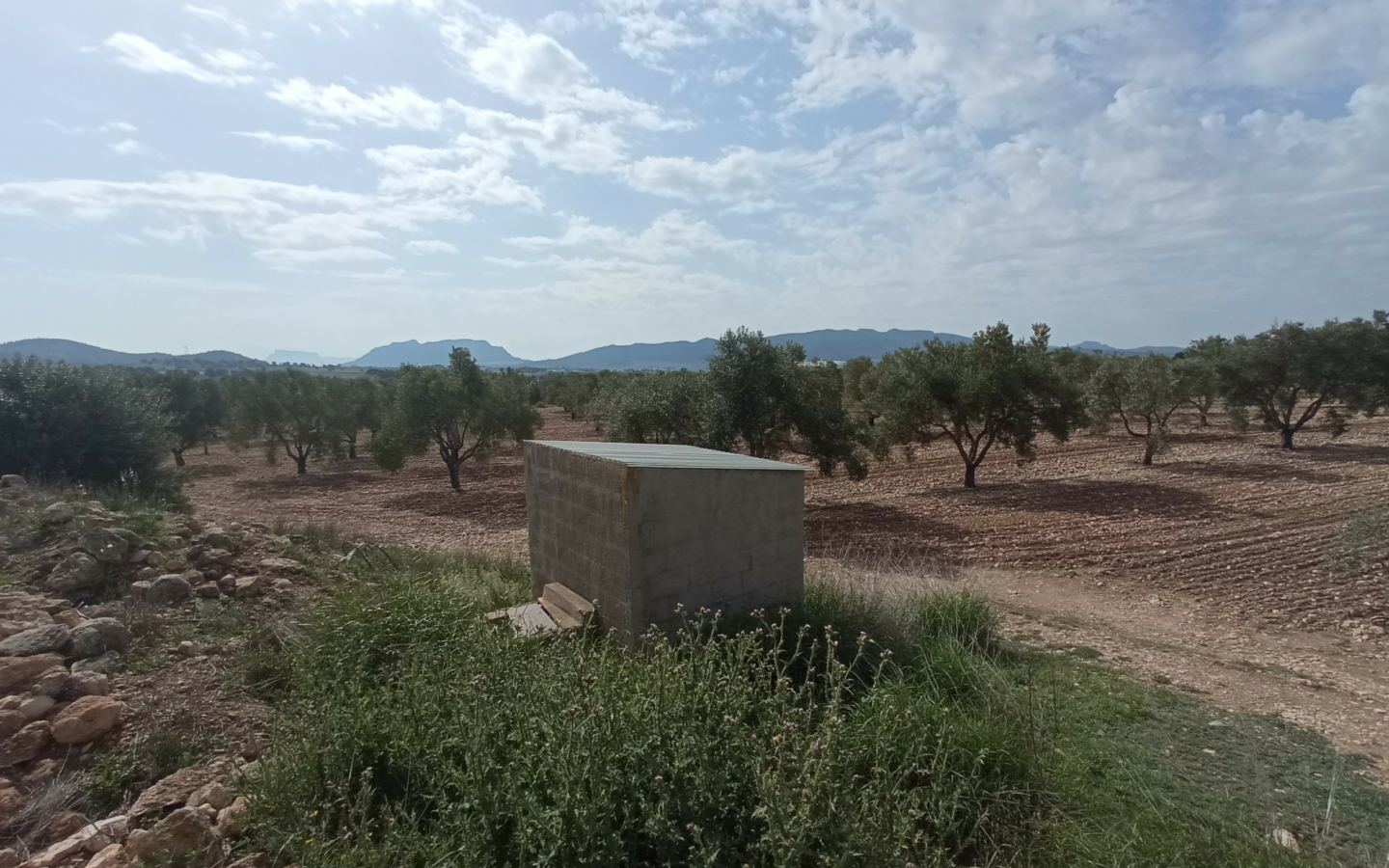 Land In Salinas, Spain (24.596 M² Plot)