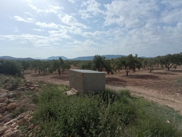 Land In Salinas, Spain (24.596 M² Plot)