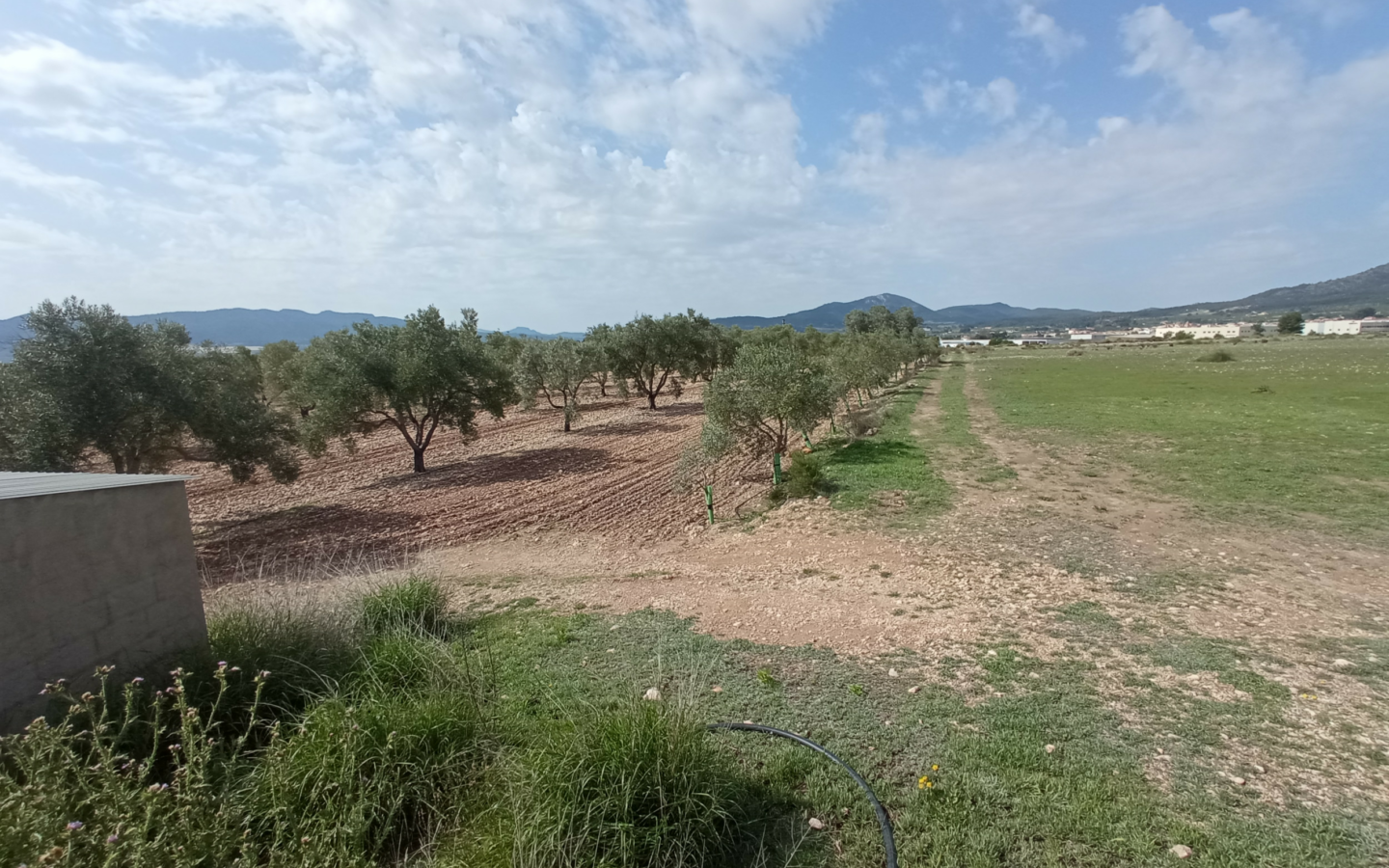 Land In Salinas, Spain (24.596 M² Plot)
