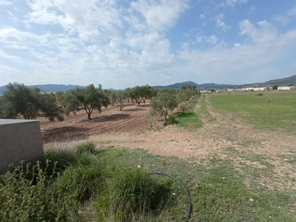 Land In Salinas, Spain (24.596 M² Plot)