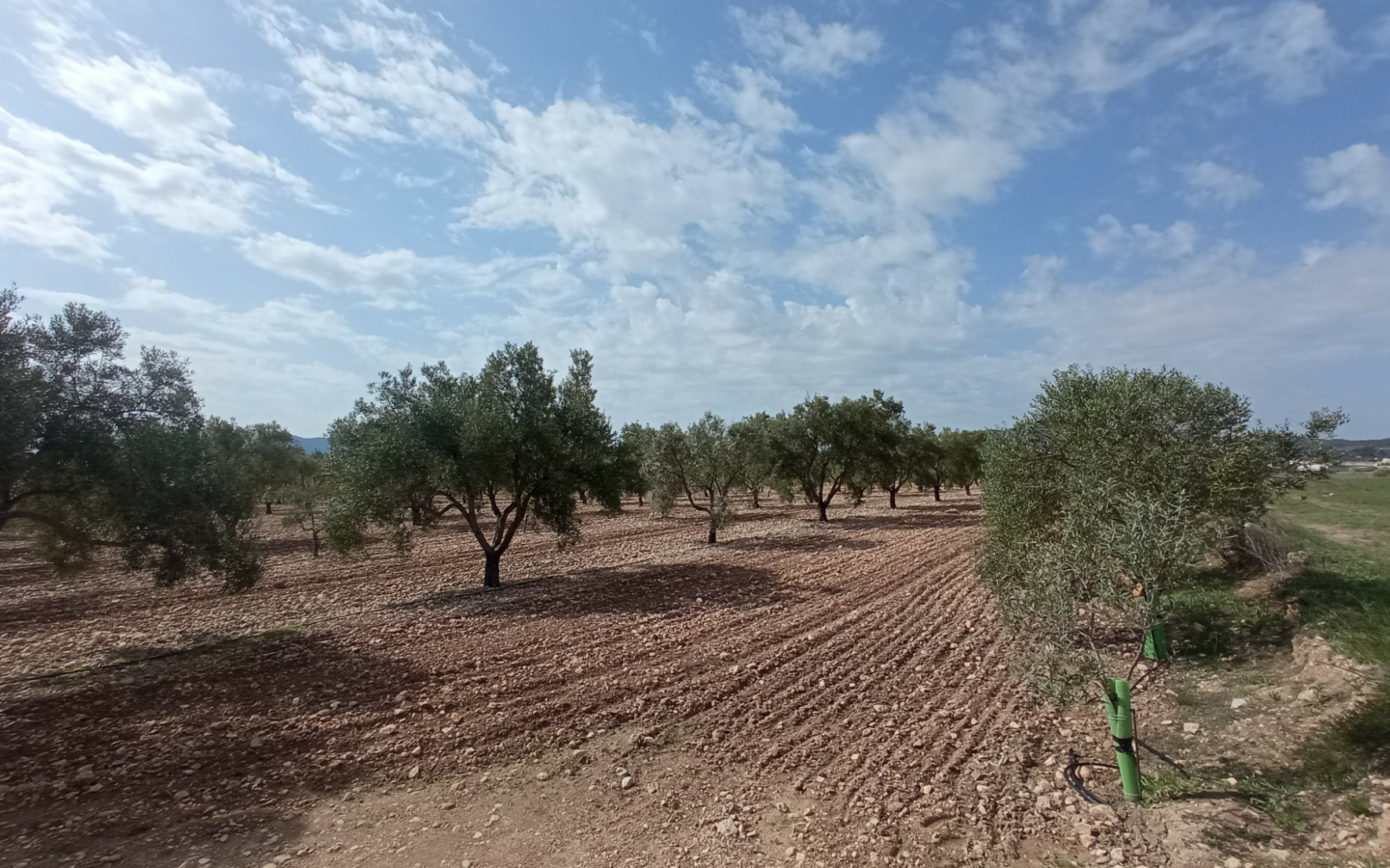 Land In Salinas, Spain (24.596 M² Plot)